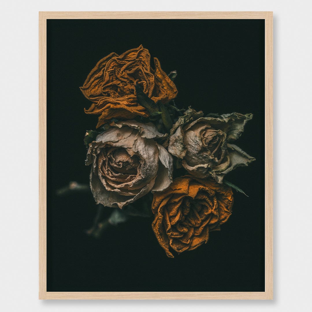 No. 6 Photographic Print by Maegan McDowell