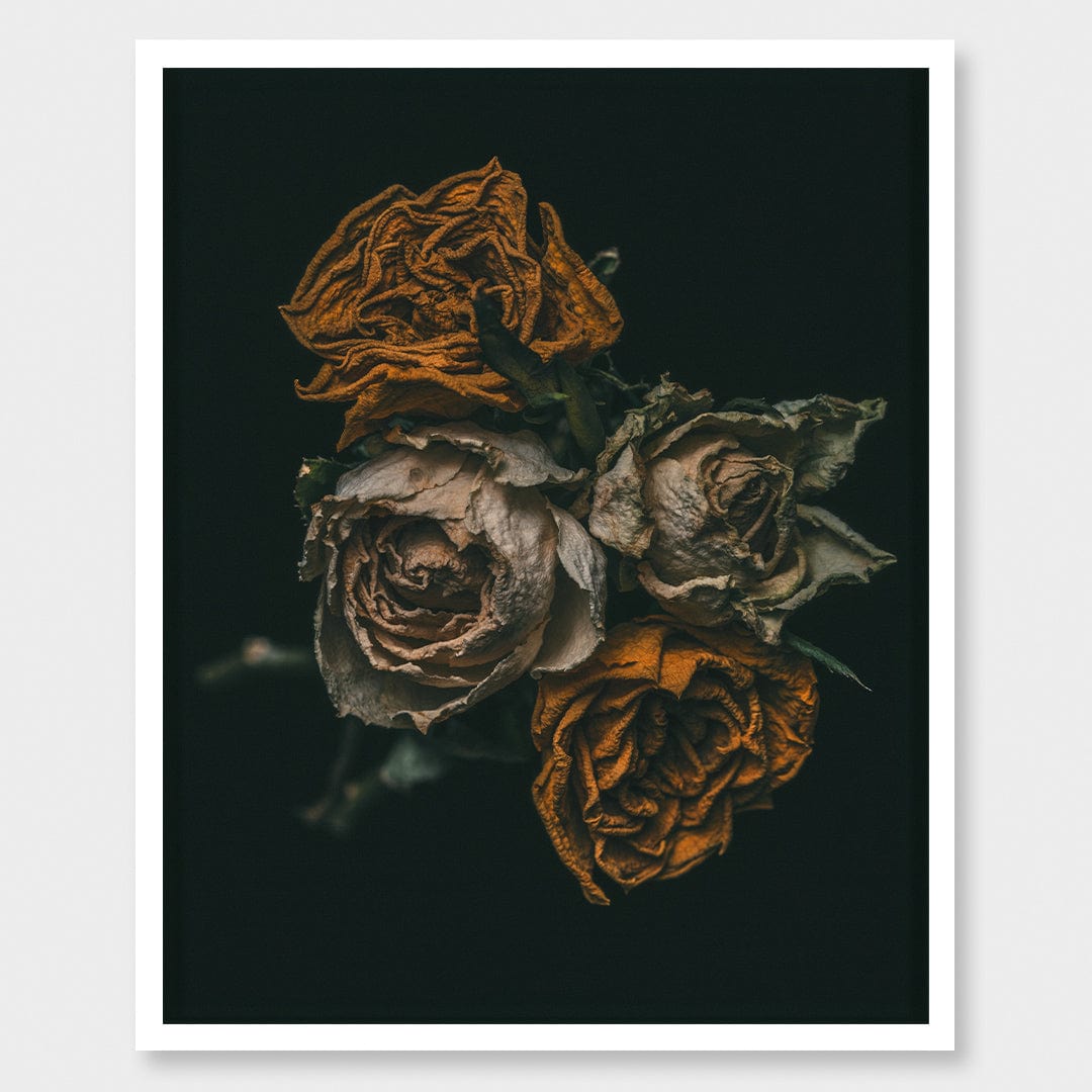 No. 6 Photographic Print by Maegan McDowell