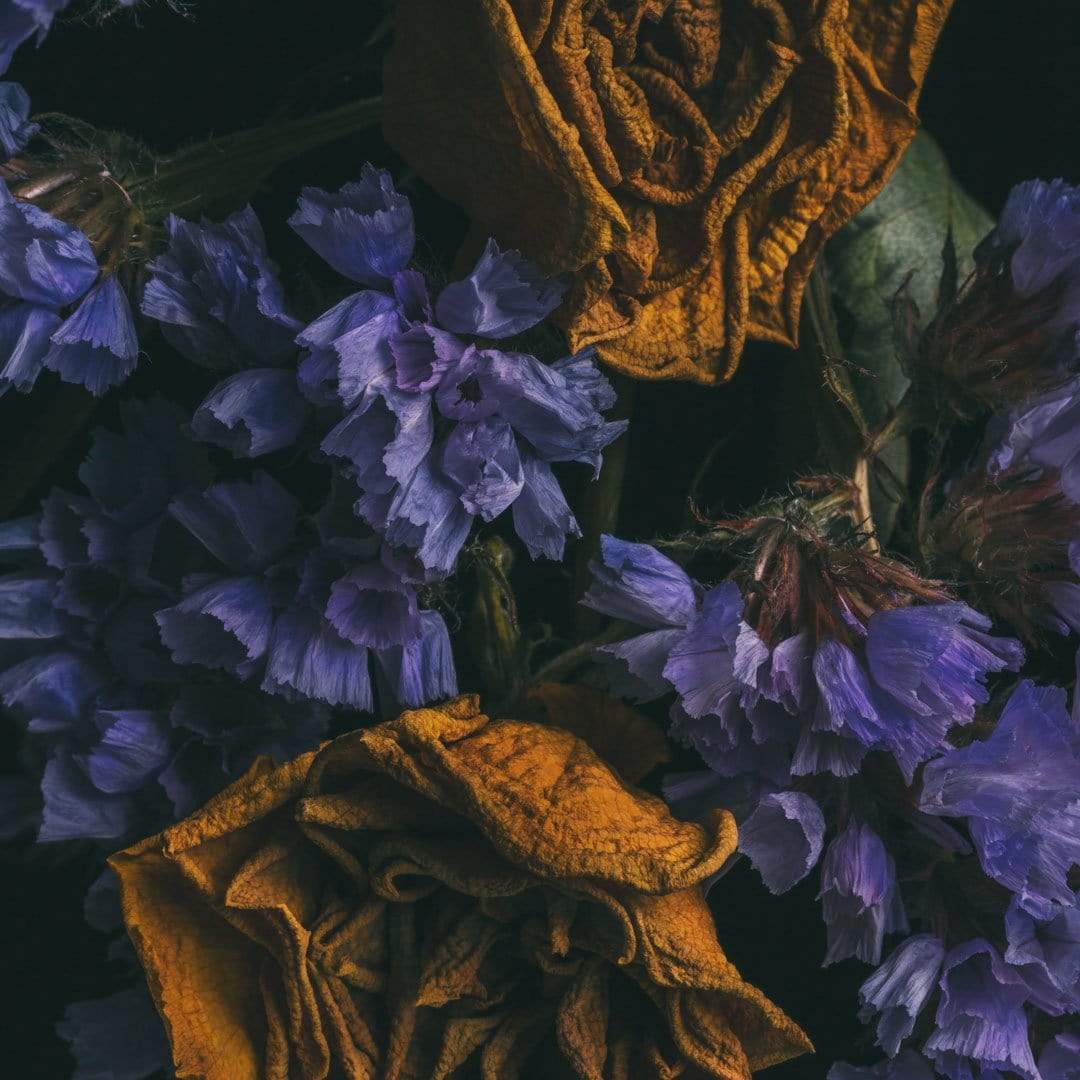 No. 8 Photographic Print by Maegan McDowell