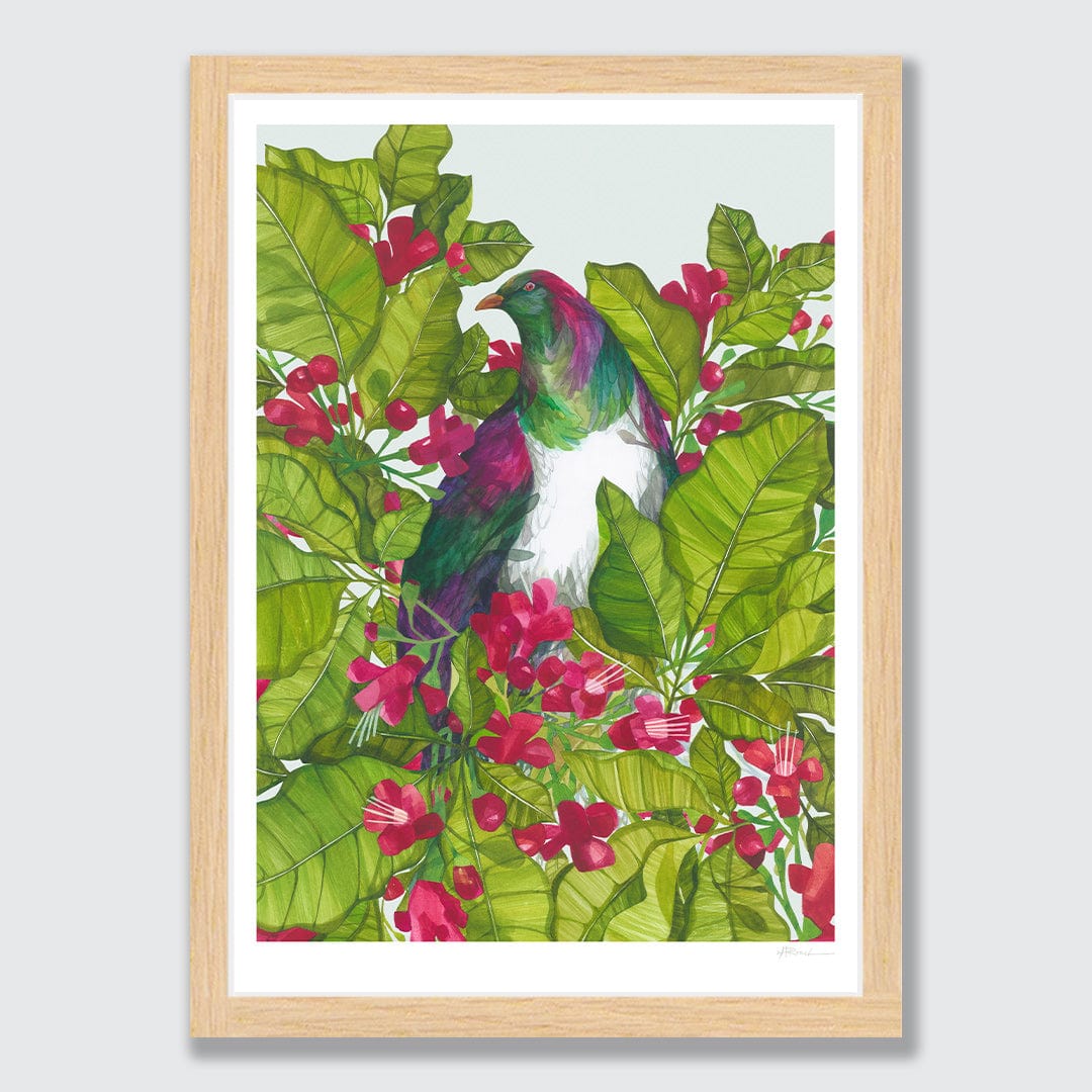 Puriri and Kereru Art Print by Holly Roach