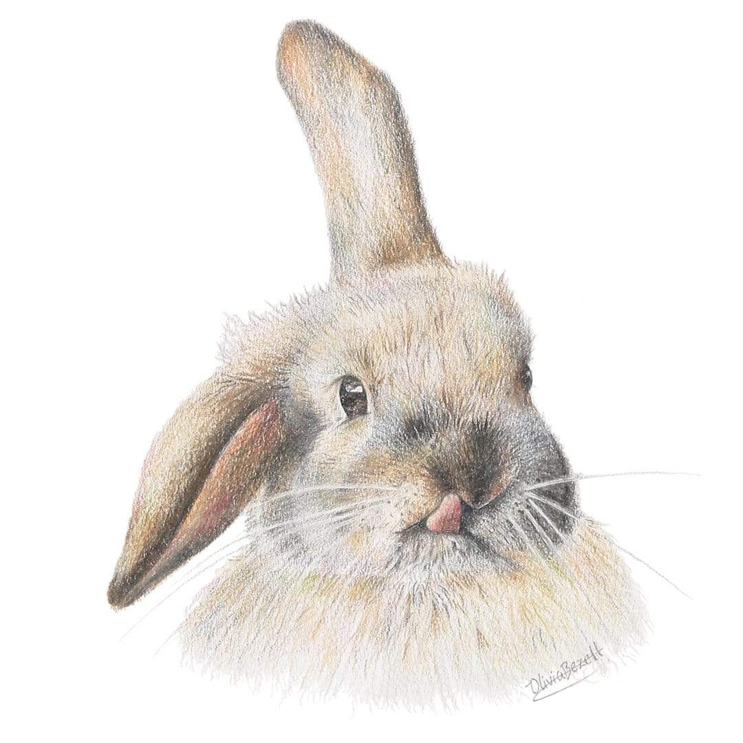 Silly Bunny Art Print by Olivia Bezett