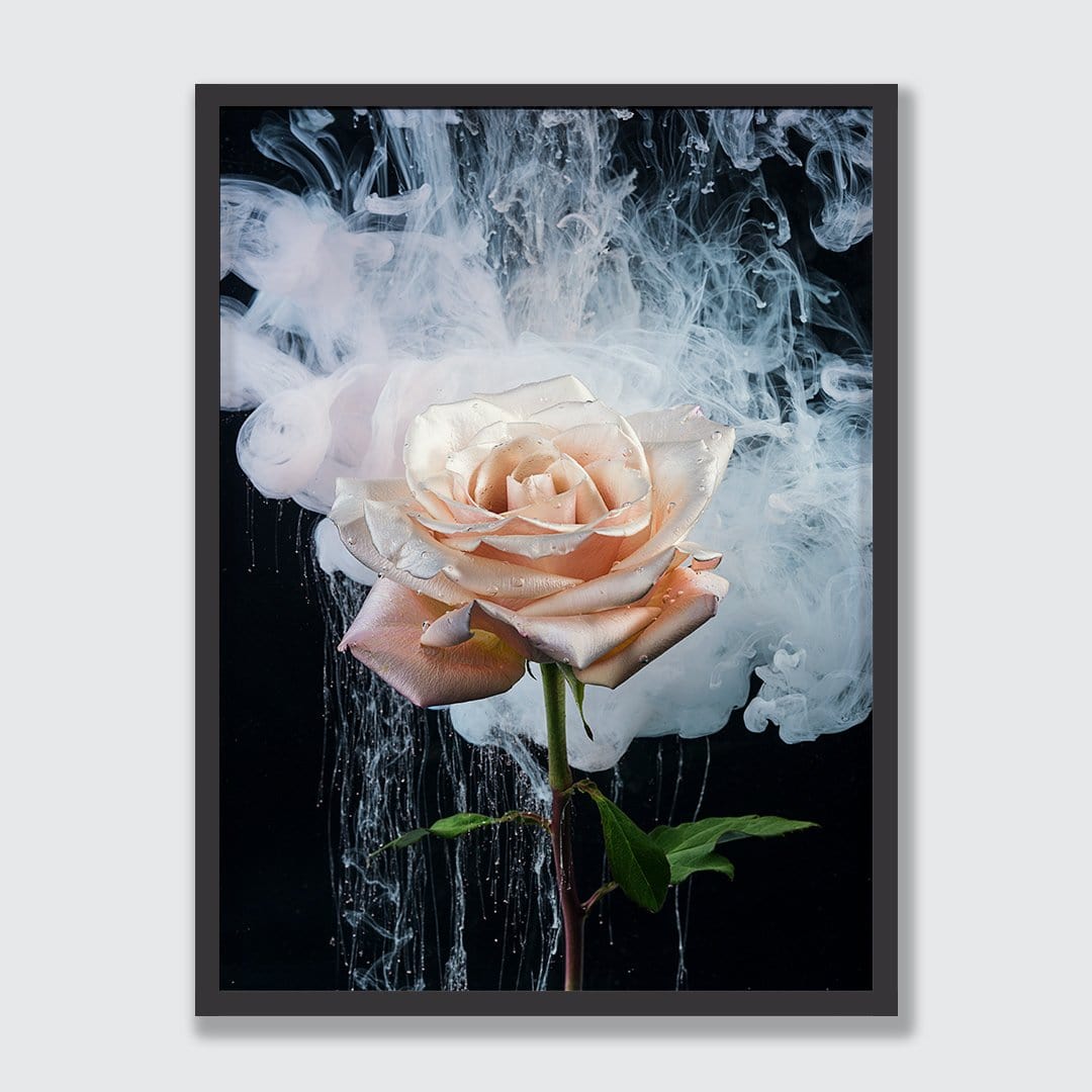 Single Rose Photographic Print by Georgie Malyon