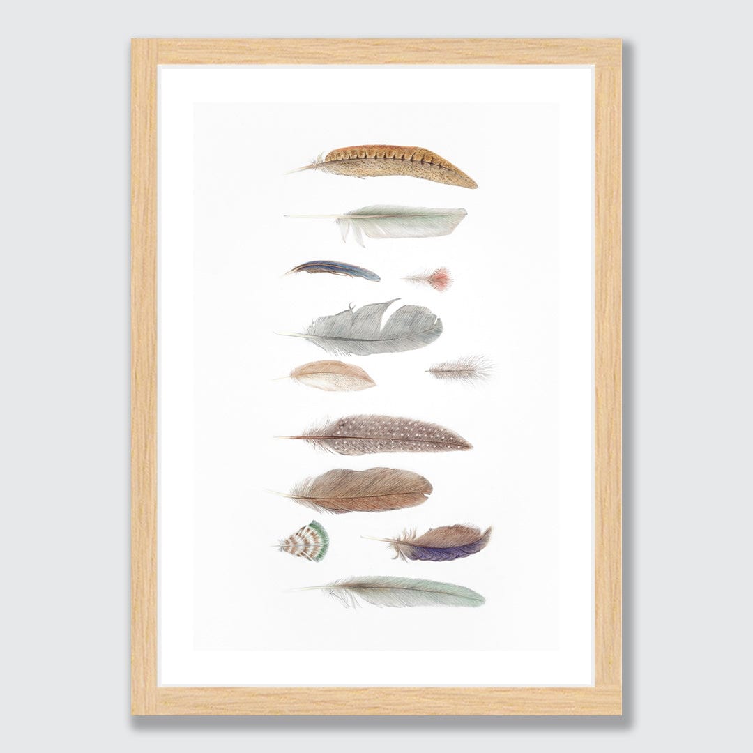 Study of Feathers - Fly High Limited Edition Art Print by Nanda Rammers