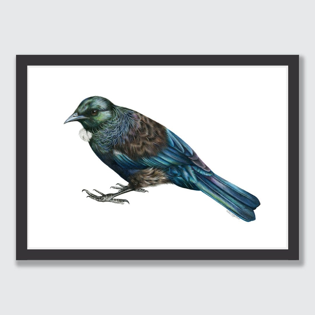 Tui Art Print by Olivia Bezett