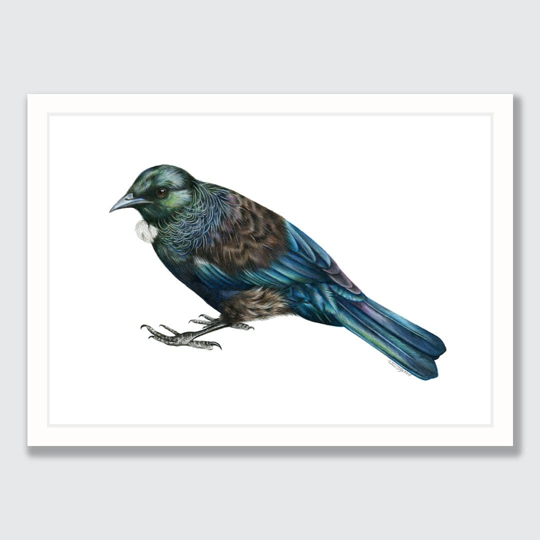 Tui Art Print by Olivia Bezett