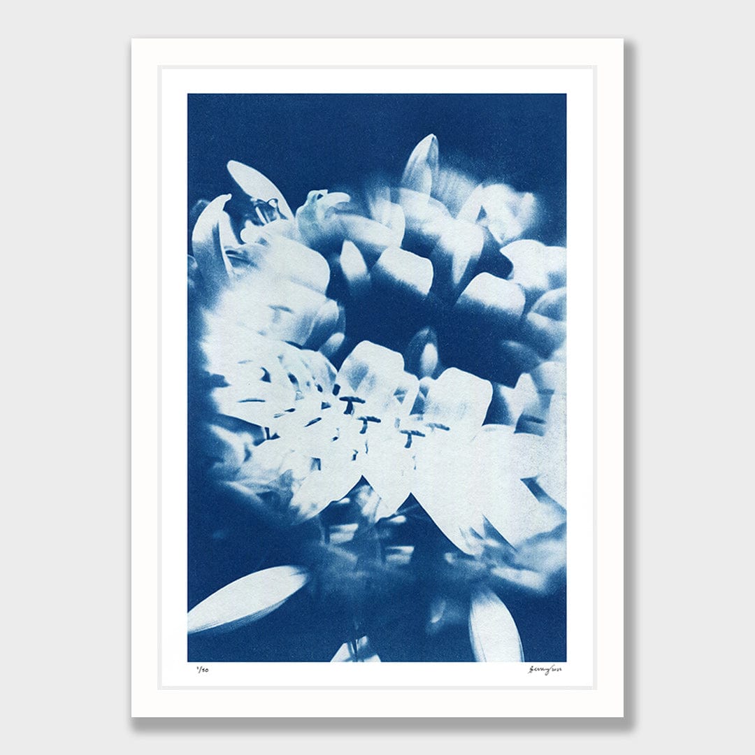 Kaleidoscope Lilies 01 Limited Edition Cyanotype by Sophia Jenny