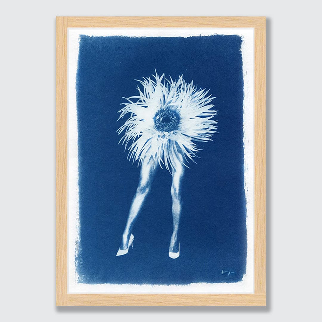 Phantasmagoria 04 Chrysanthemum Limited Edition Cyanotype by Sophia Jenny