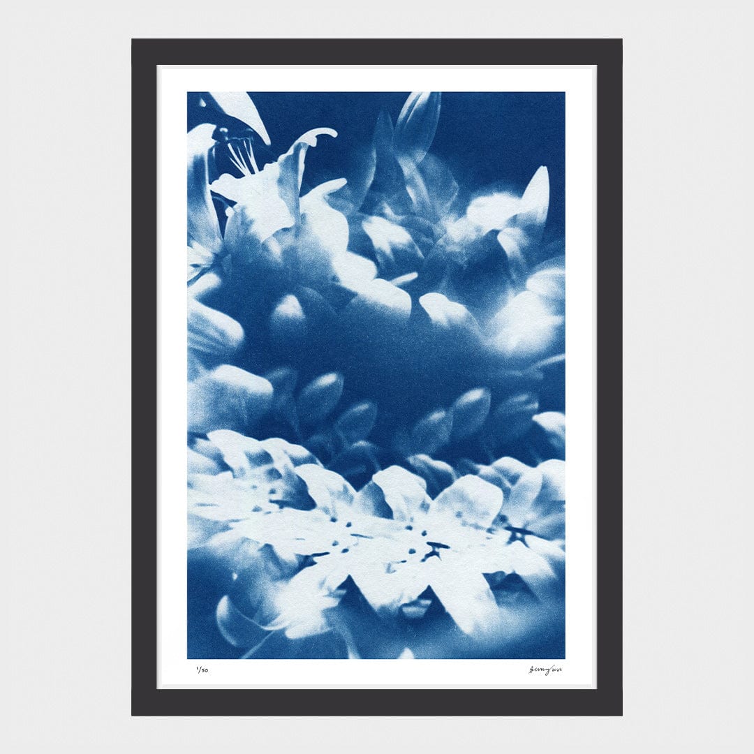 Kaleidoscope Lilies 04 Limited Edition Cyanotype by Sophia Jenny