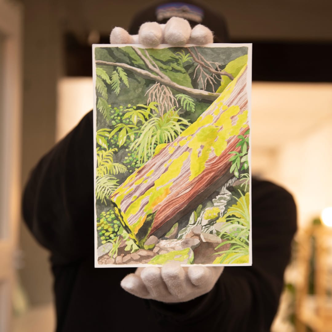 A Mossy Moment Original Painting by Emma Huia Lovegrove