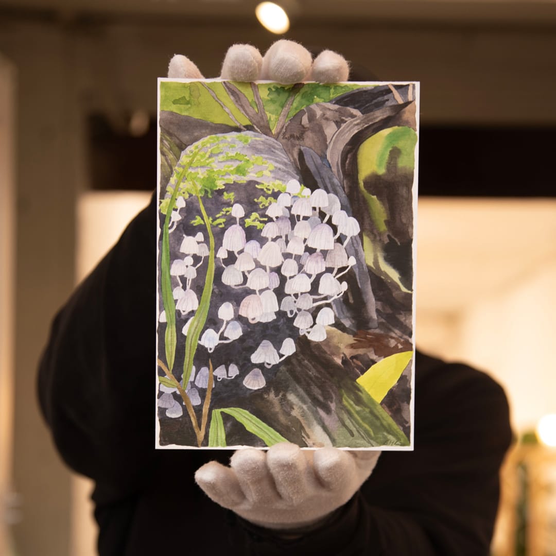 Fungi Family Original Painting by Emma Huia Lovegrove