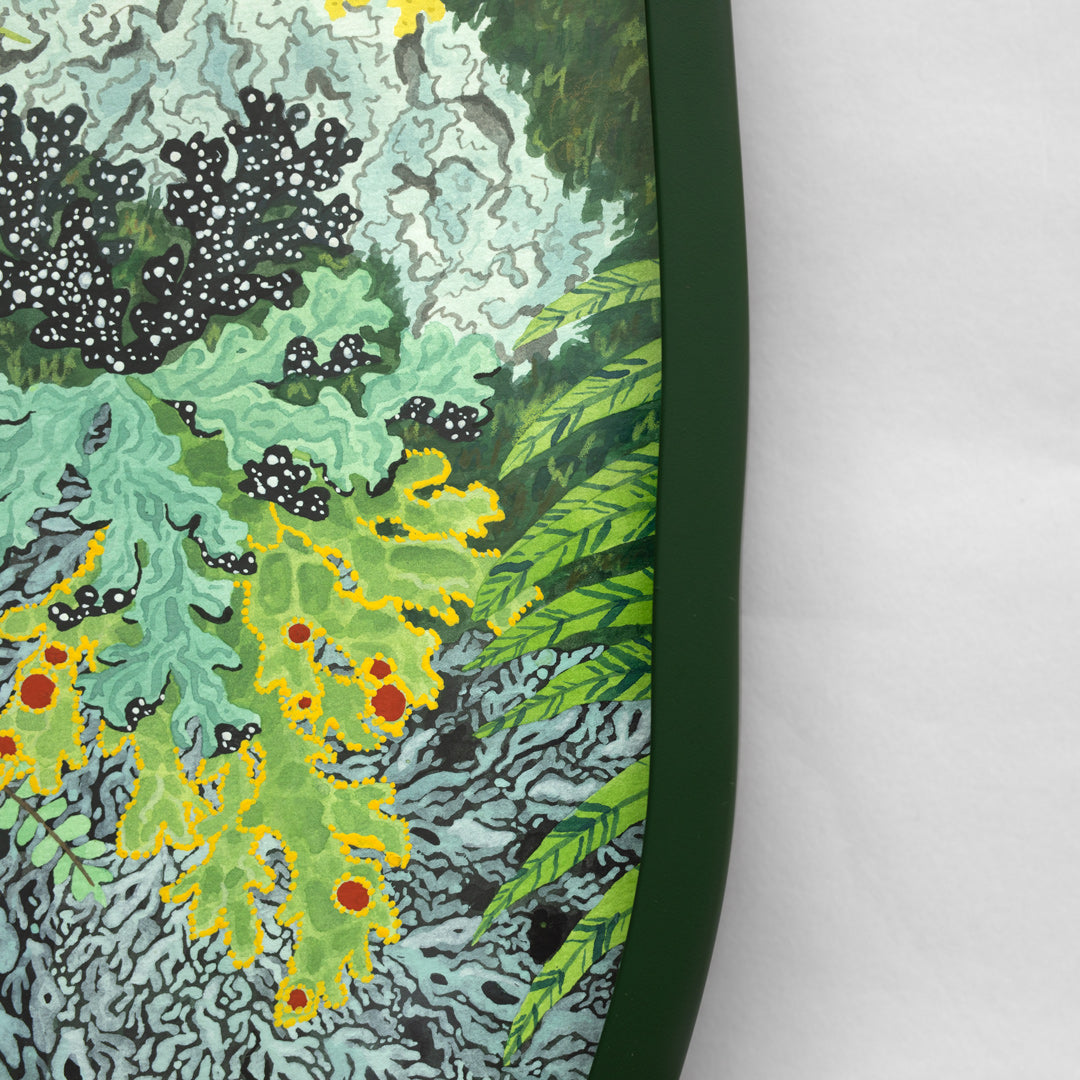 Fronds and Fungi 6 Original Painting by Emma Huia Lovegrove