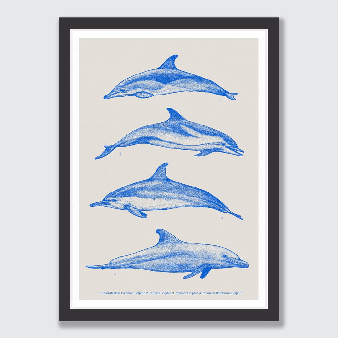 Dolphin Species Natural Art Print by Nathan Miller