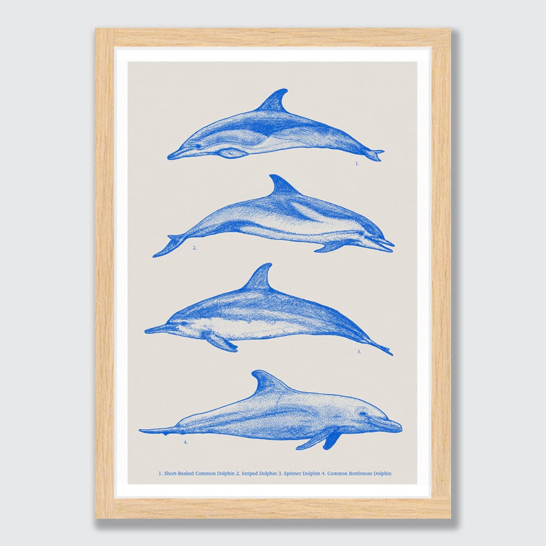 SALE // New Zealand Dairy Art Print by Ross Murray