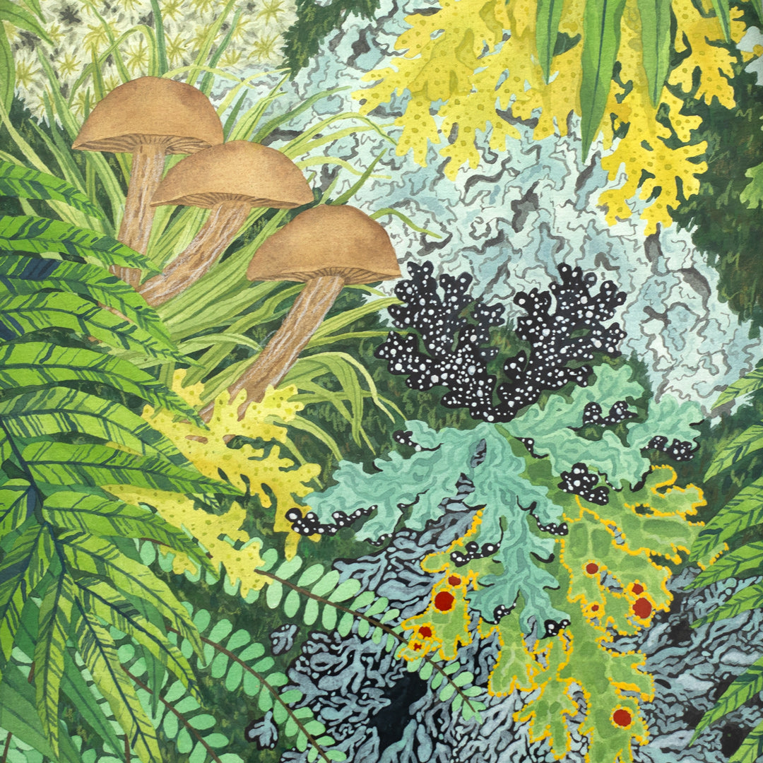 Fronds and Fungi 6 Original Painting by Emma Huia Lovegrove