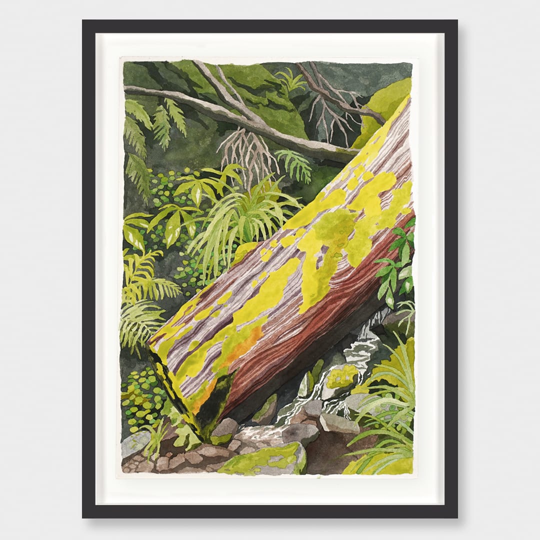 A Mossy Moment Original Painting by Emma Huia Lovegrove