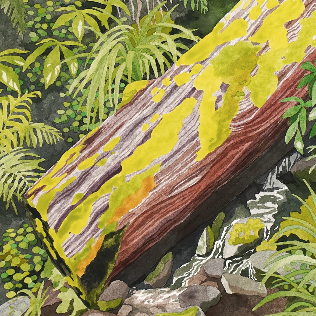 A Mossy Moment Original Painting by Emma Huia Lovegrove
