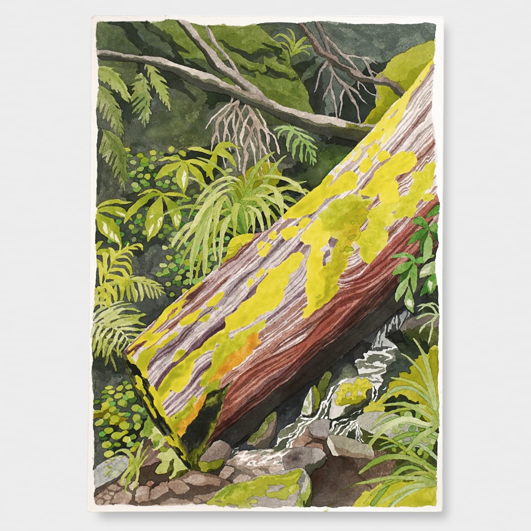 A Mossy Moment Original Painting by Emma Huia Lovegrove