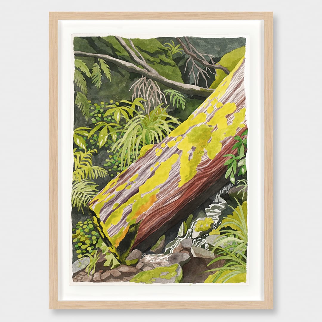 A Mossy Moment Original Painting by Emma Huia Lovegrove