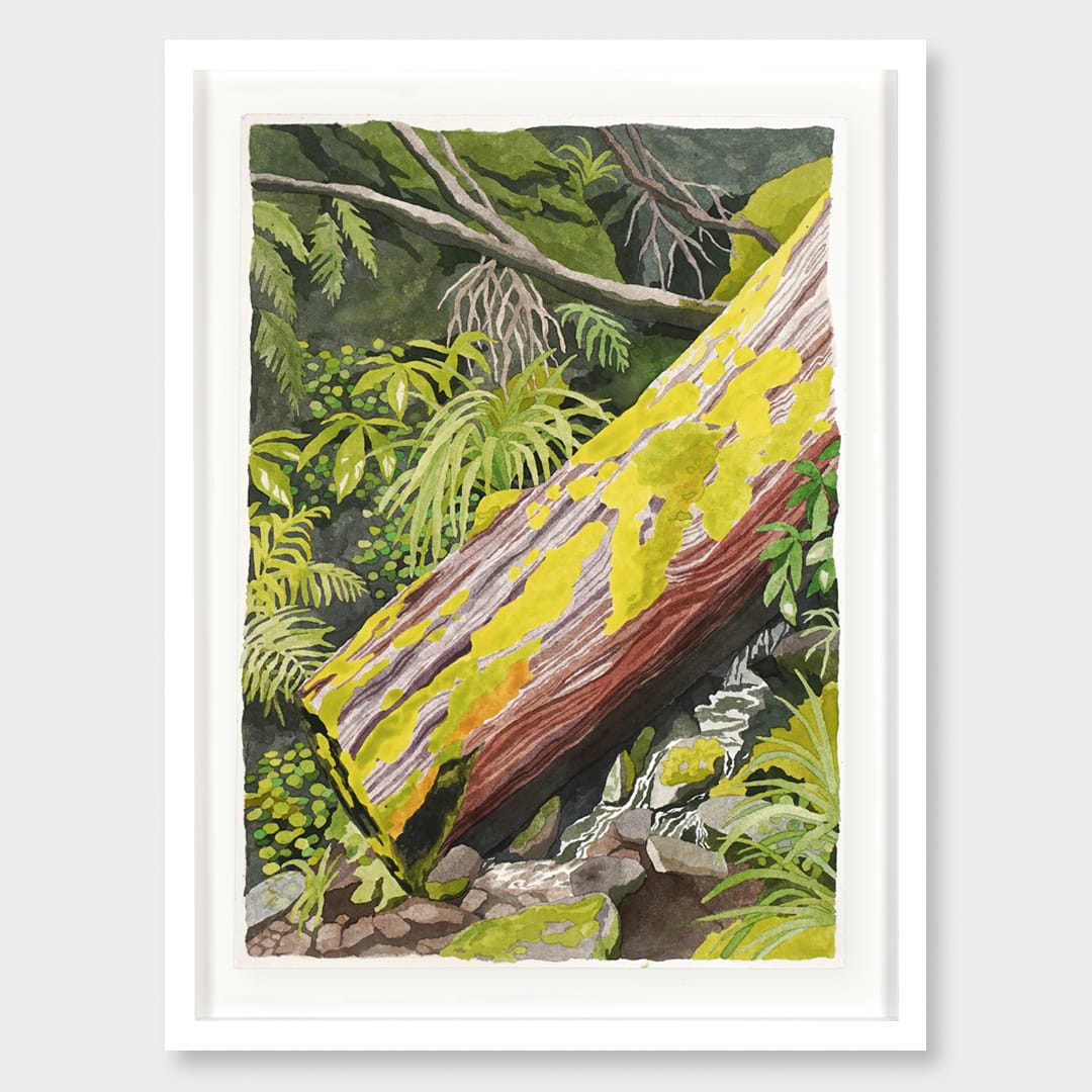 A Mossy Moment Original Painting by Emma Huia Lovegrove
