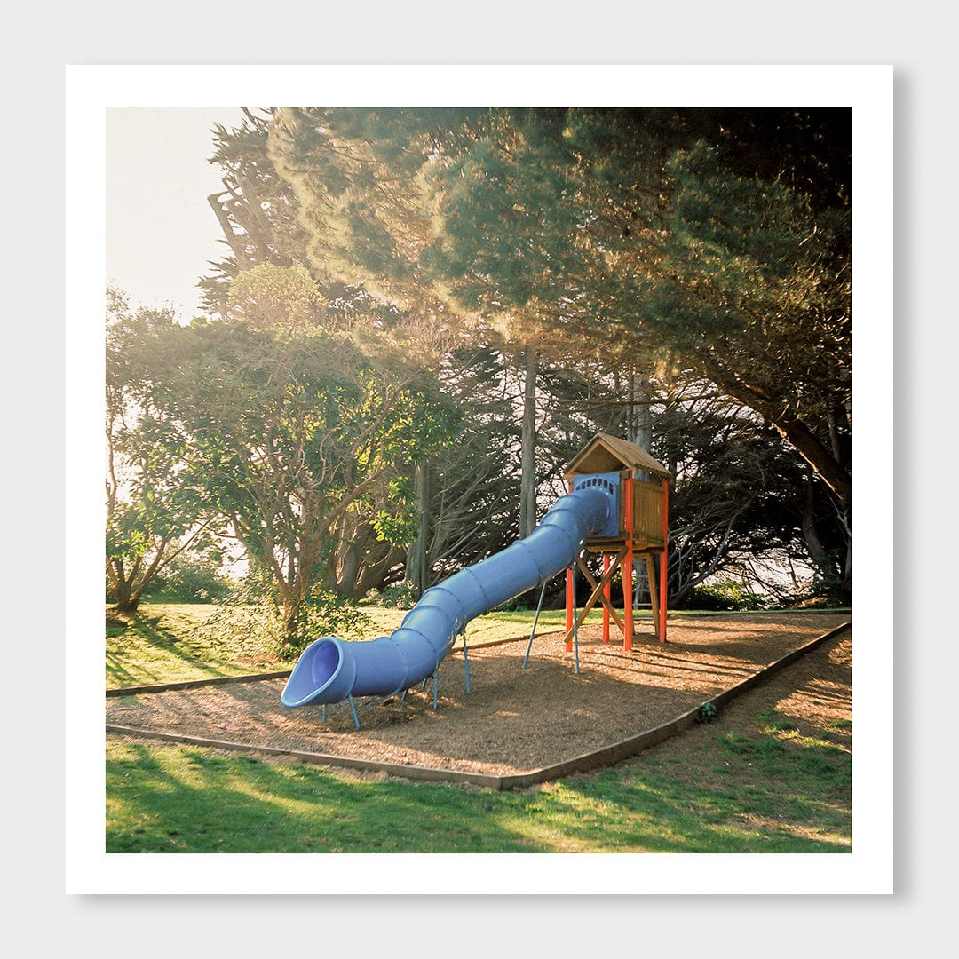 A Small Slide Art Print by Curtis Bunker