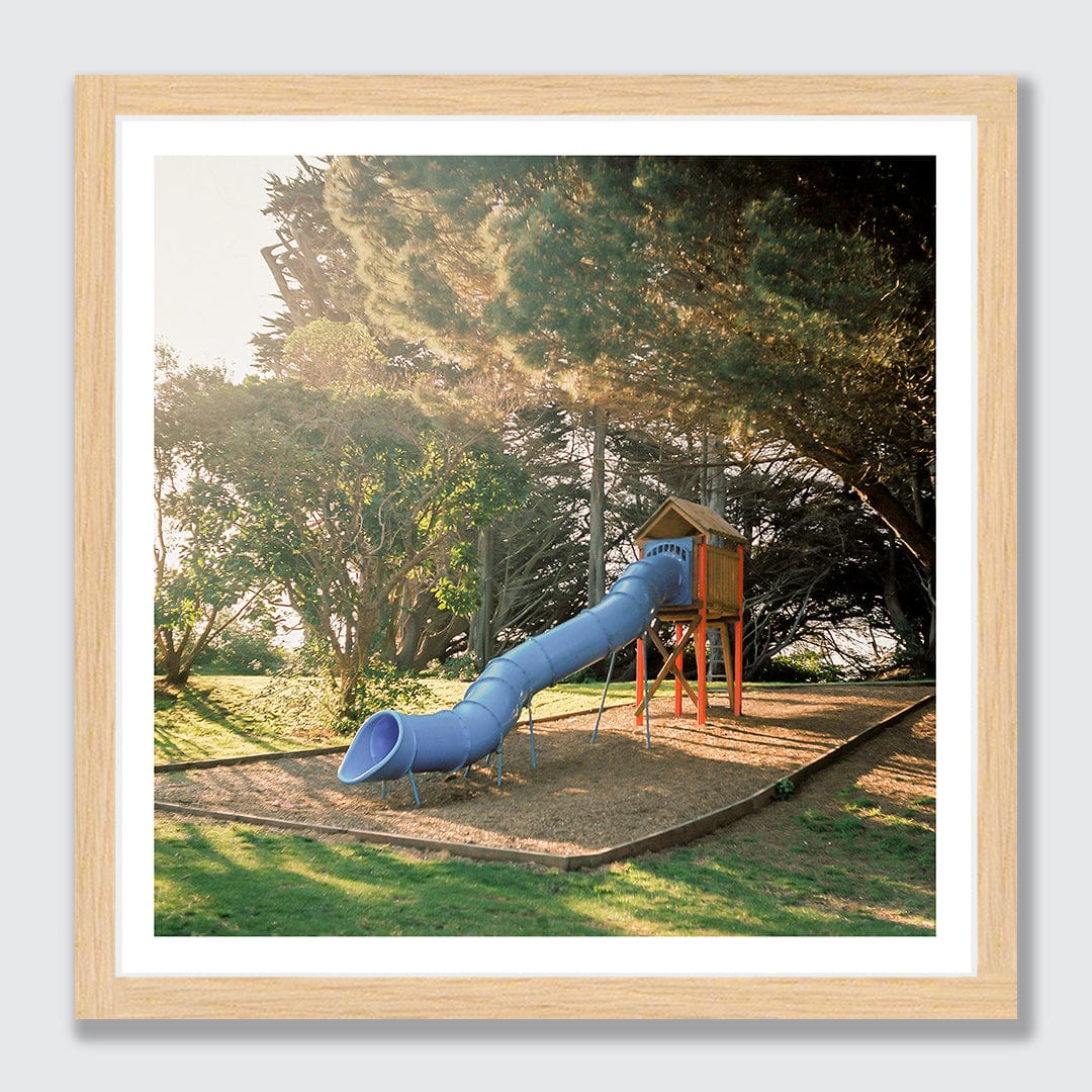 A Small Slide Art Print by Curtis Bunker