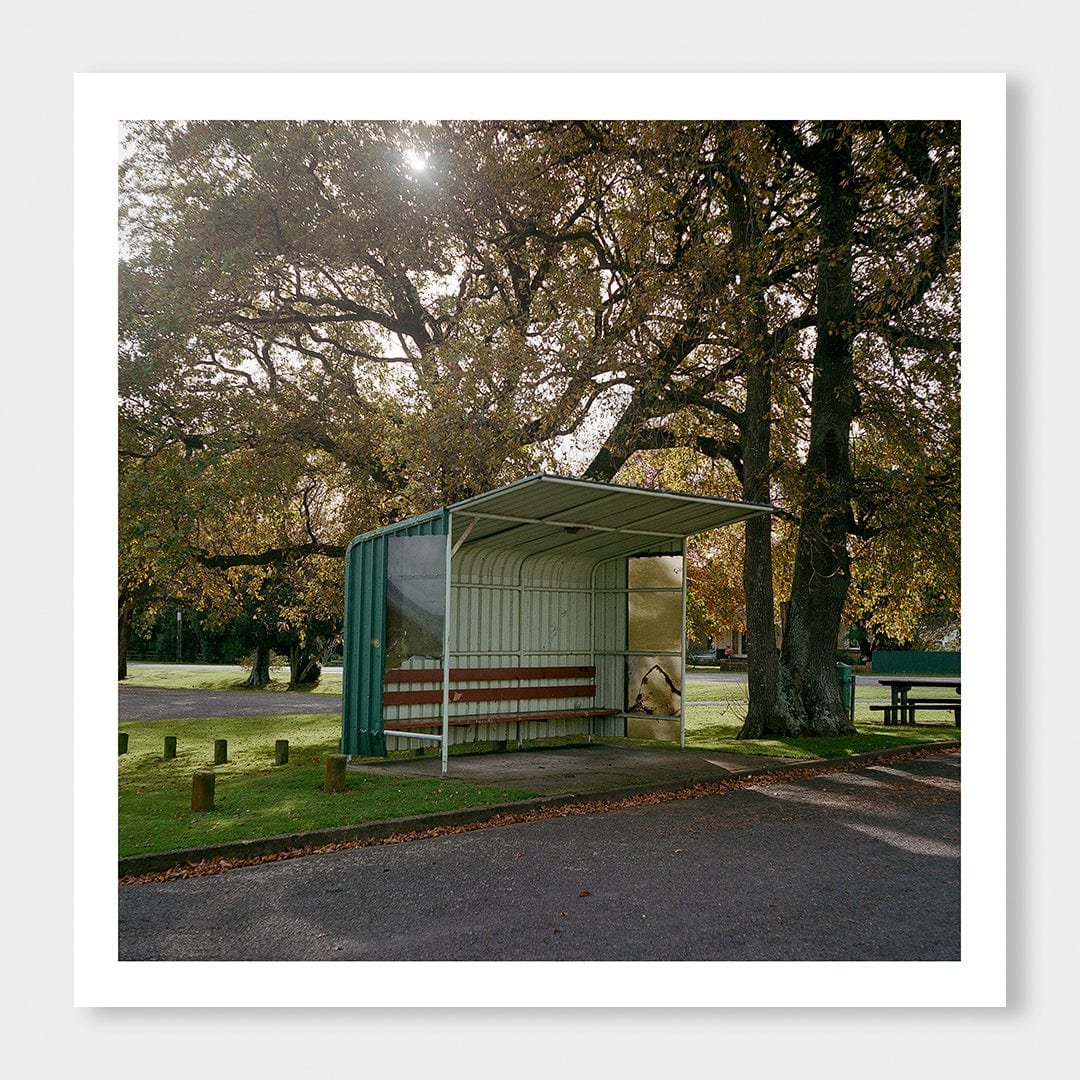 Air B and B Art Print by Curtis Bunker