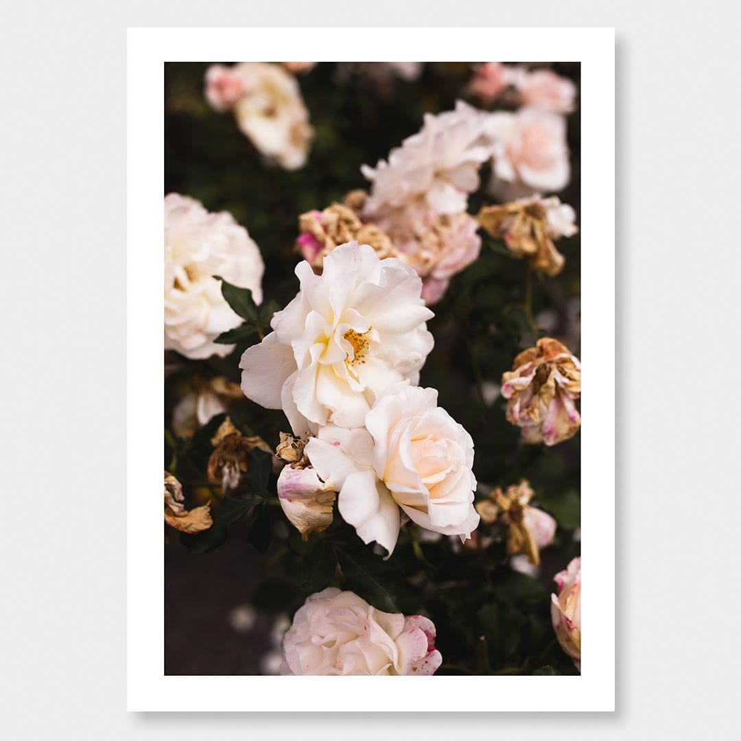 April Photographic Art Print by Charlotte Clements