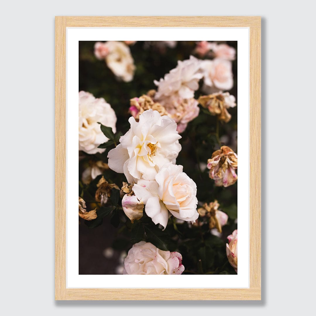 April Photographic Art Print by Charlotte Clements