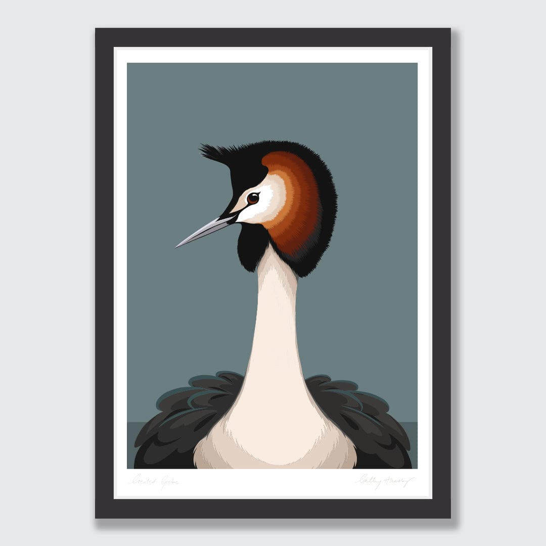 Australasian Crested Grebe Art Print by Cathy Hansby