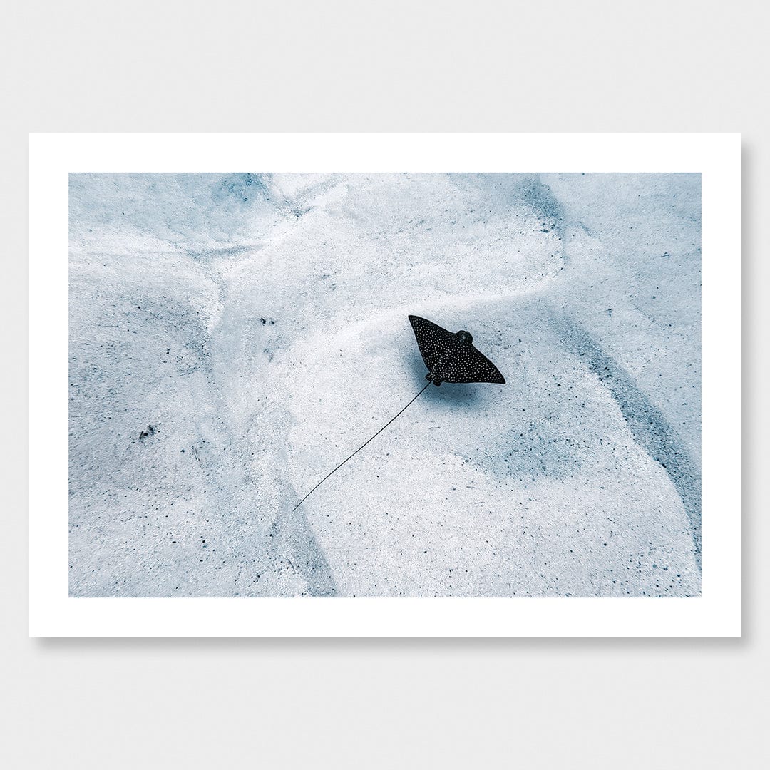 Avaavaroa Local Photographic Print by Crystal May