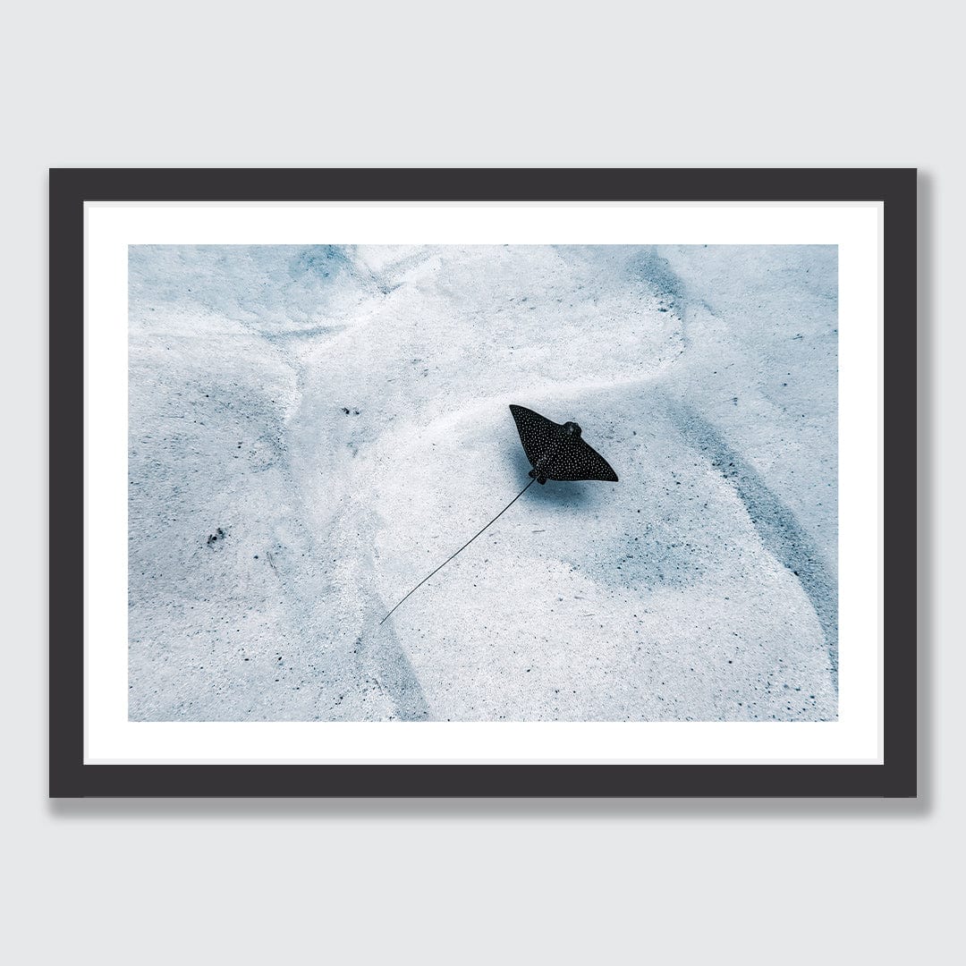 Avaavaroa Local Photographic Print by Crystal May