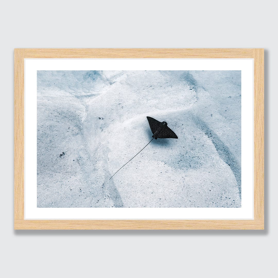 Avaavaroa Local Photographic Print by Crystal May