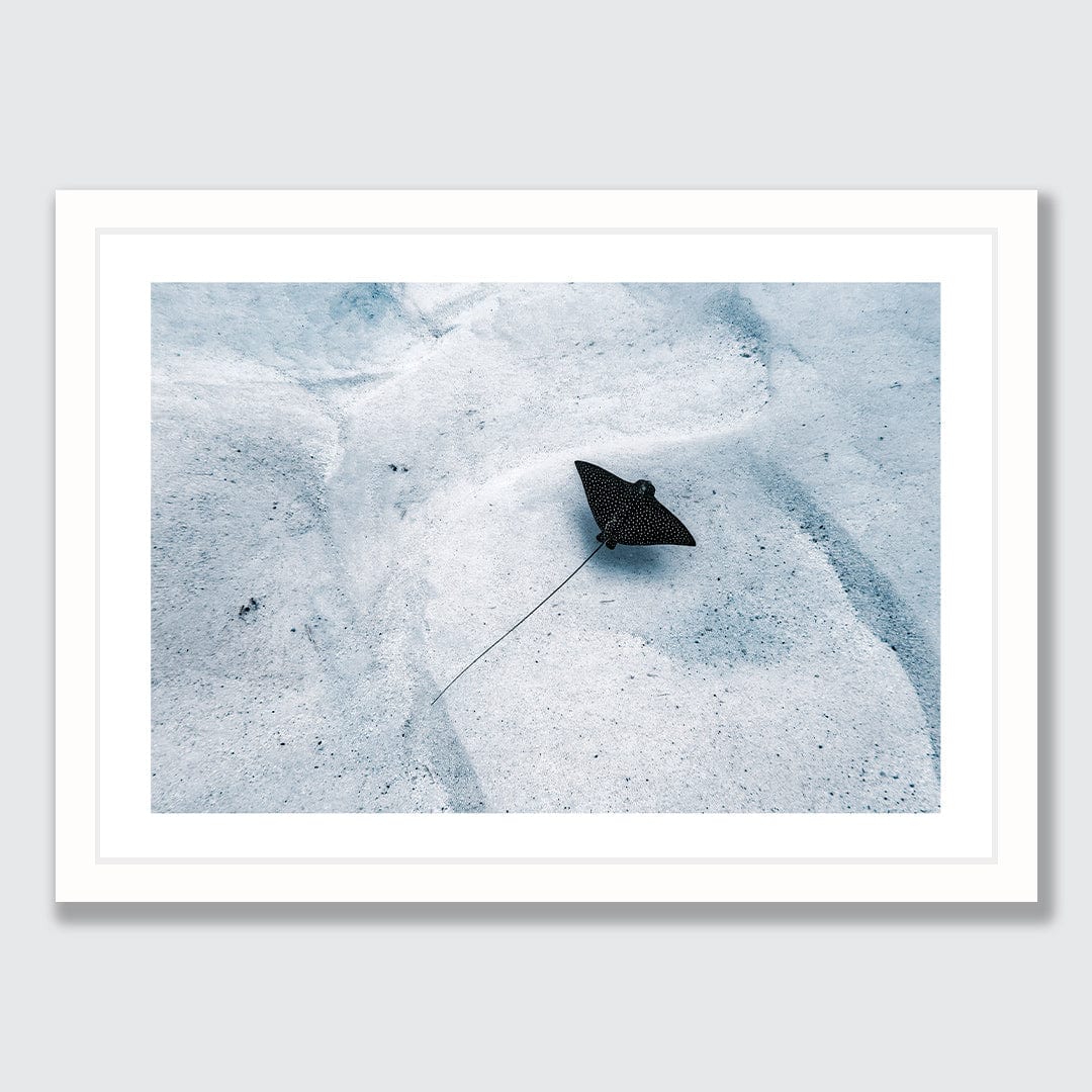 Avaavaroa Local Photographic Print by Crystal May