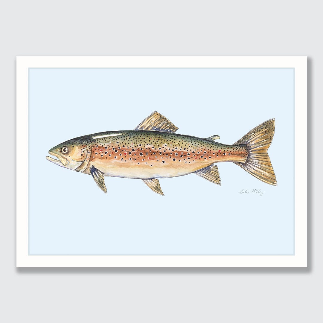 'Bas' Brown Trout (Blue background) Art Print by Colin McKay