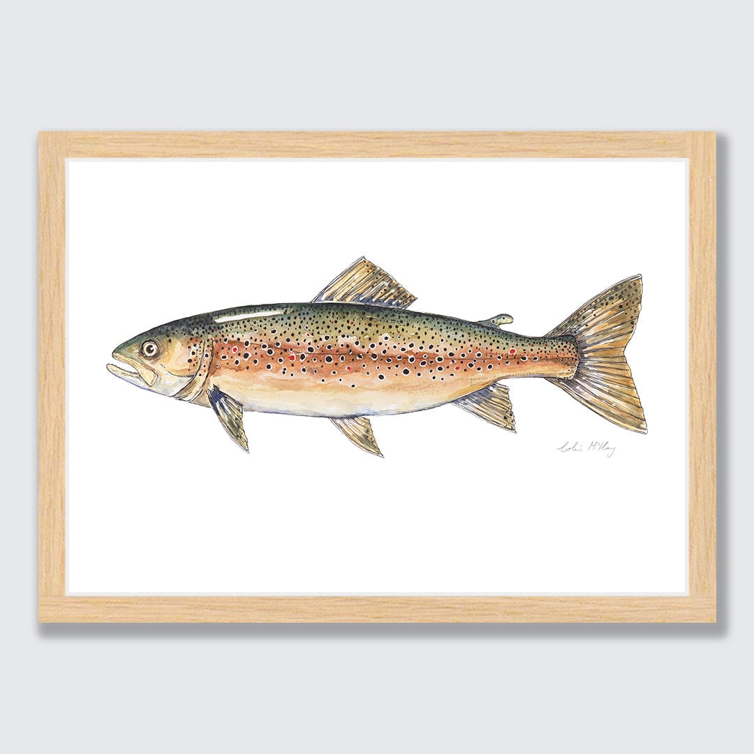 'Bas' Brown Trout Art Print by Colin Mckay