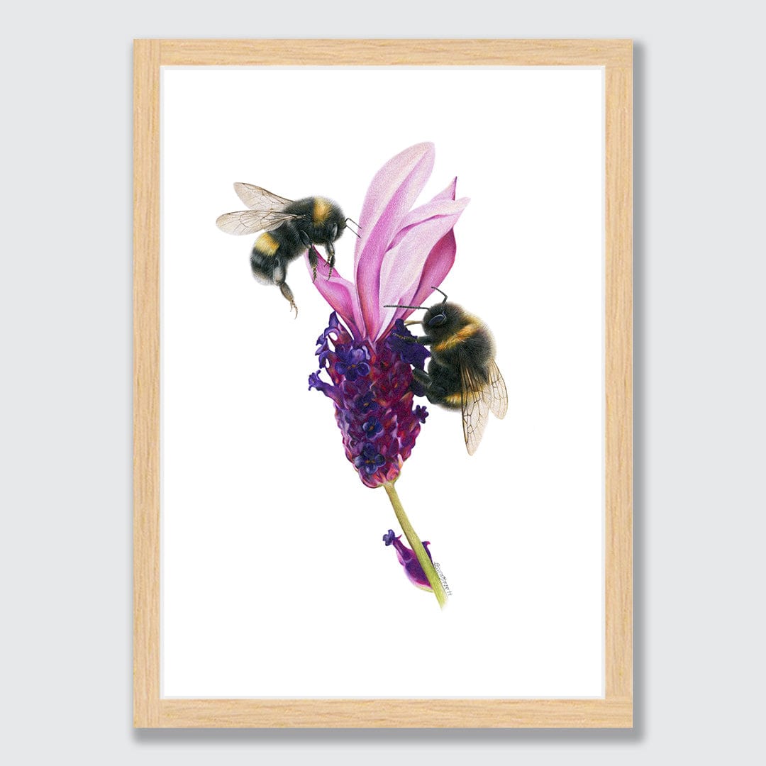 Bees on Lavender Art Print by Olivia Bezett