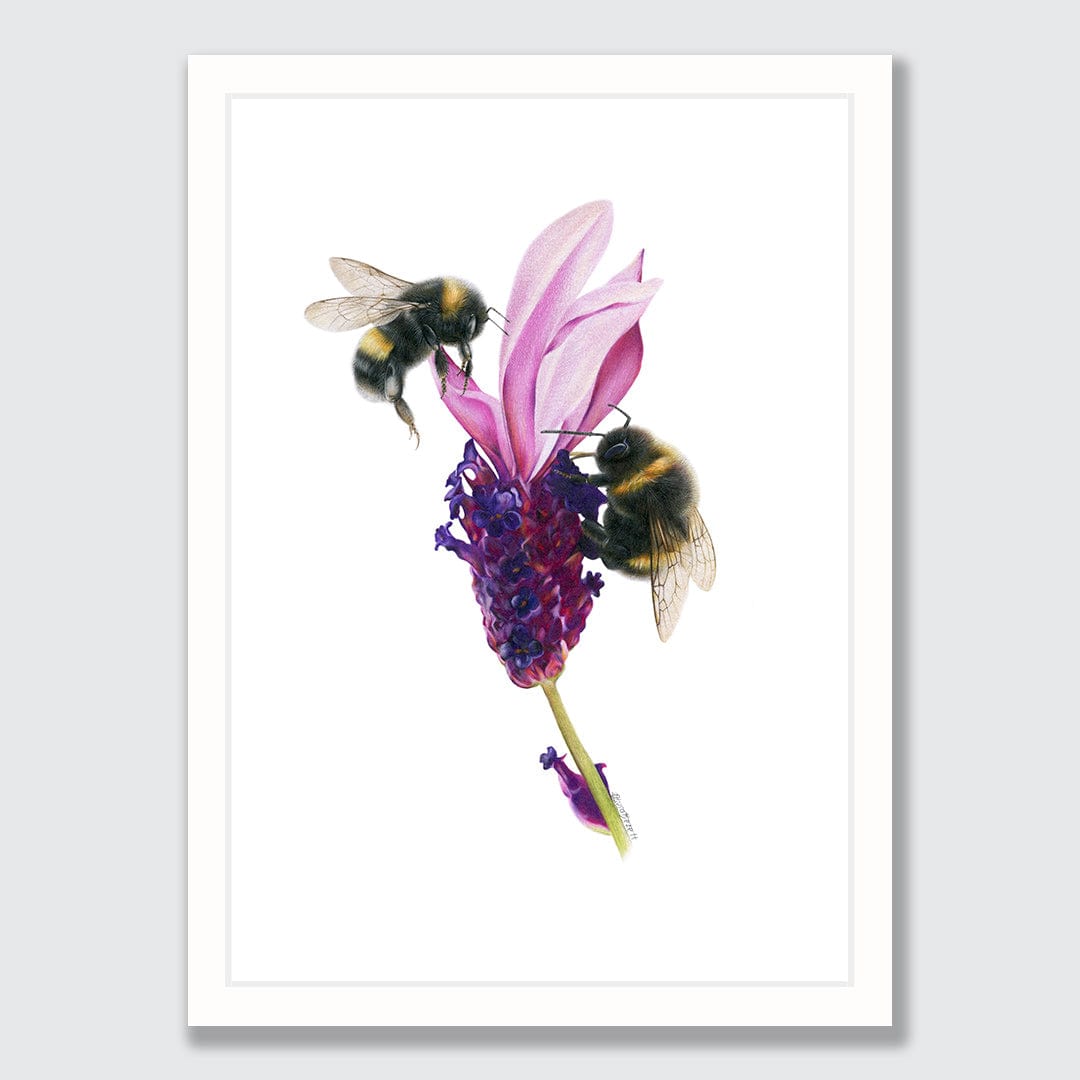 Bees on Lavender Art Print by Olivia Bezett