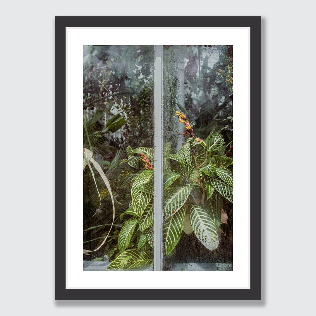 Behind The Glass Photographic Print by Amy Wybrow