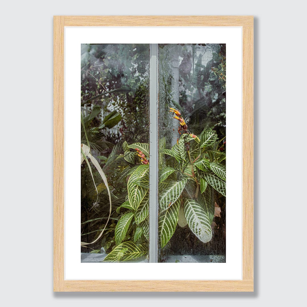 Behind The Glass Photographic Print by Amy Wybrow
