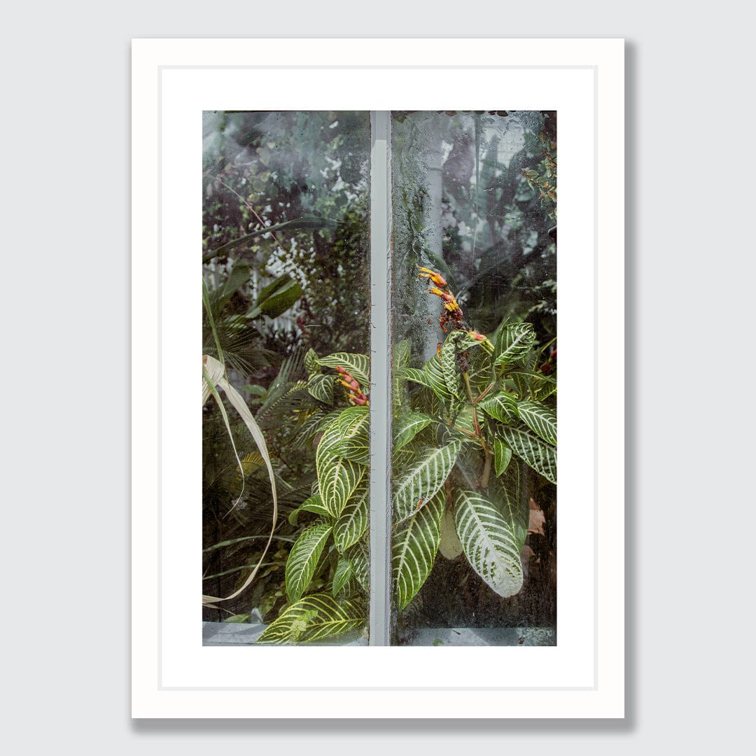 Behind The Glass Photographic Print by Amy Wybrow
