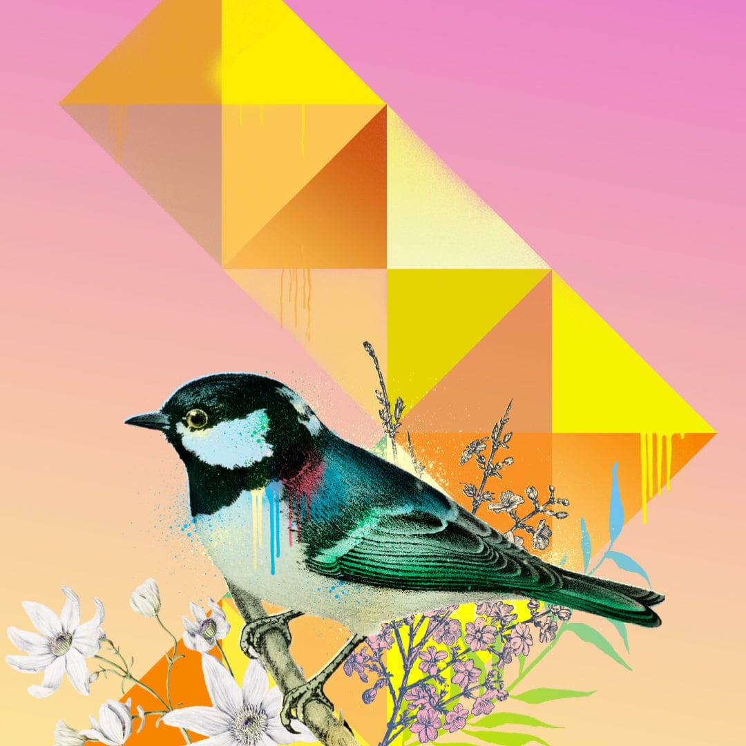 Bellbird in Geo Bloom Limited Edition Art Print by Component