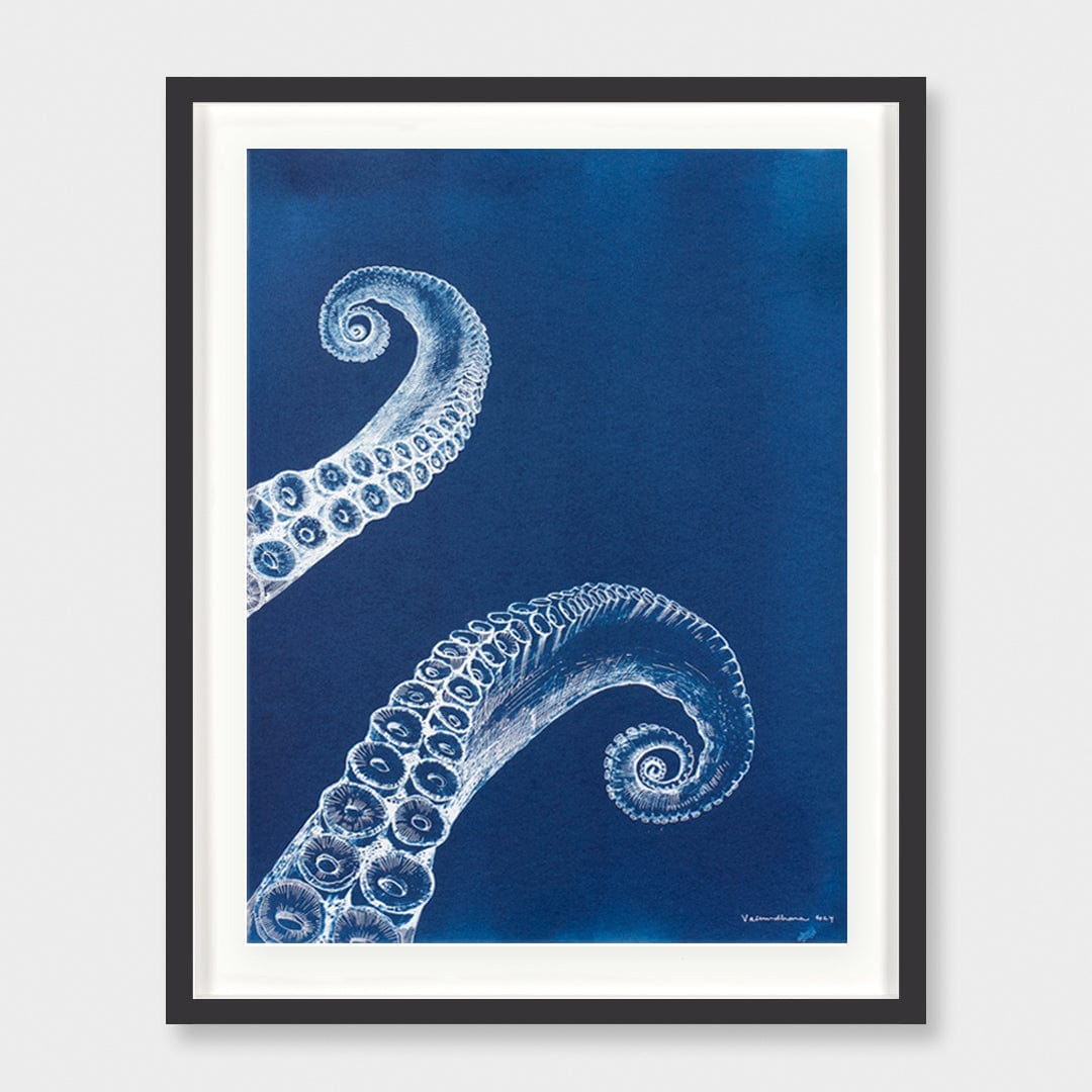 Below the Surface Cyanotype Original Artwork by Vasundhara Singh