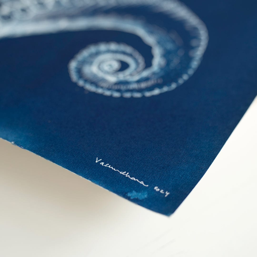 Below the Surface Cyanotype Original Artwork by Vasundhara Singh
