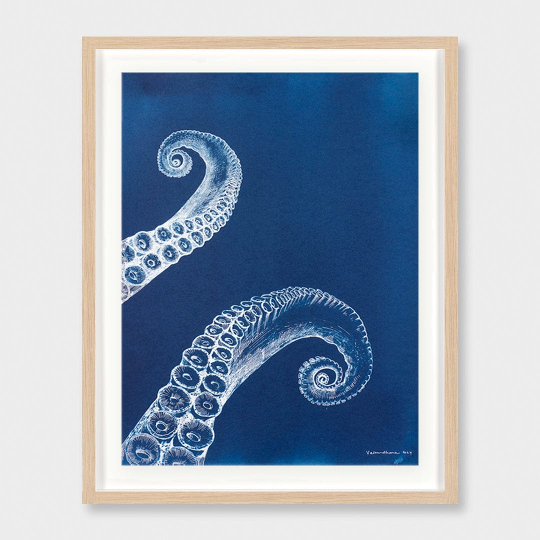 Below the Surface Cyanotype Original Artwork by Vasundhara Singh