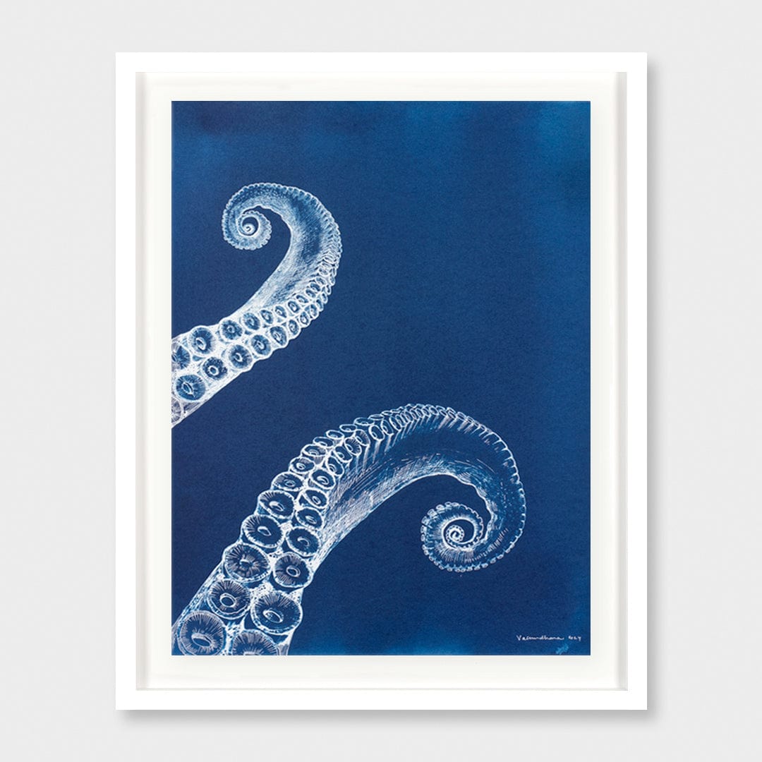 Below the Surface Cyanotype Original Artwork by Vasundhara Singh