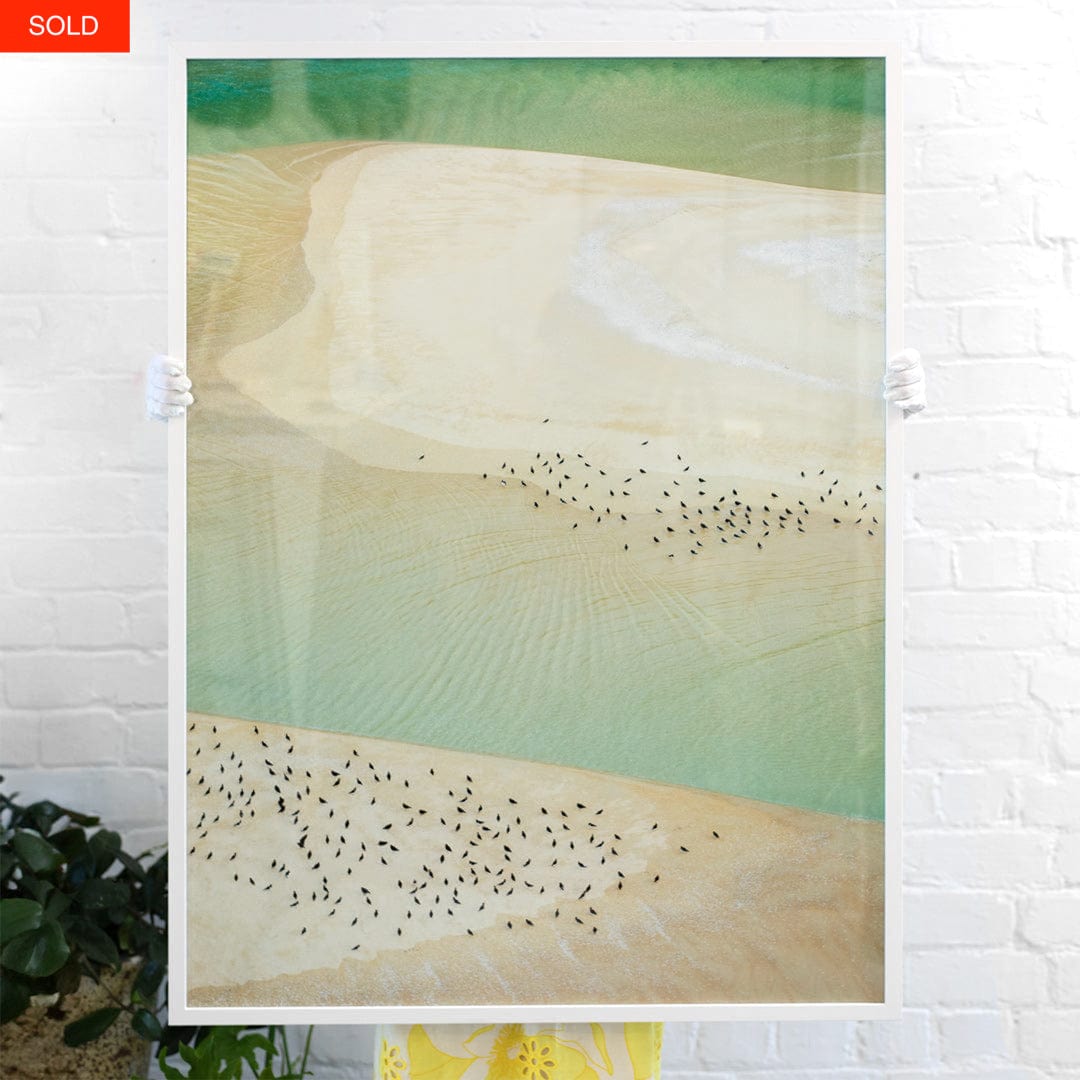 Bespoke A0 Nigella Seeds Framed Art Print by Emma Willetts