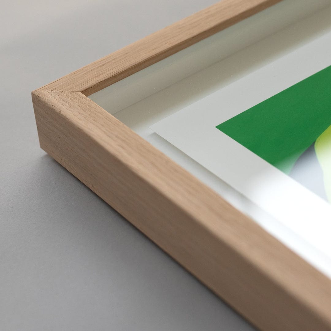 Bespoke Framed Exploration Limited Edition Art Print by Alice Berry