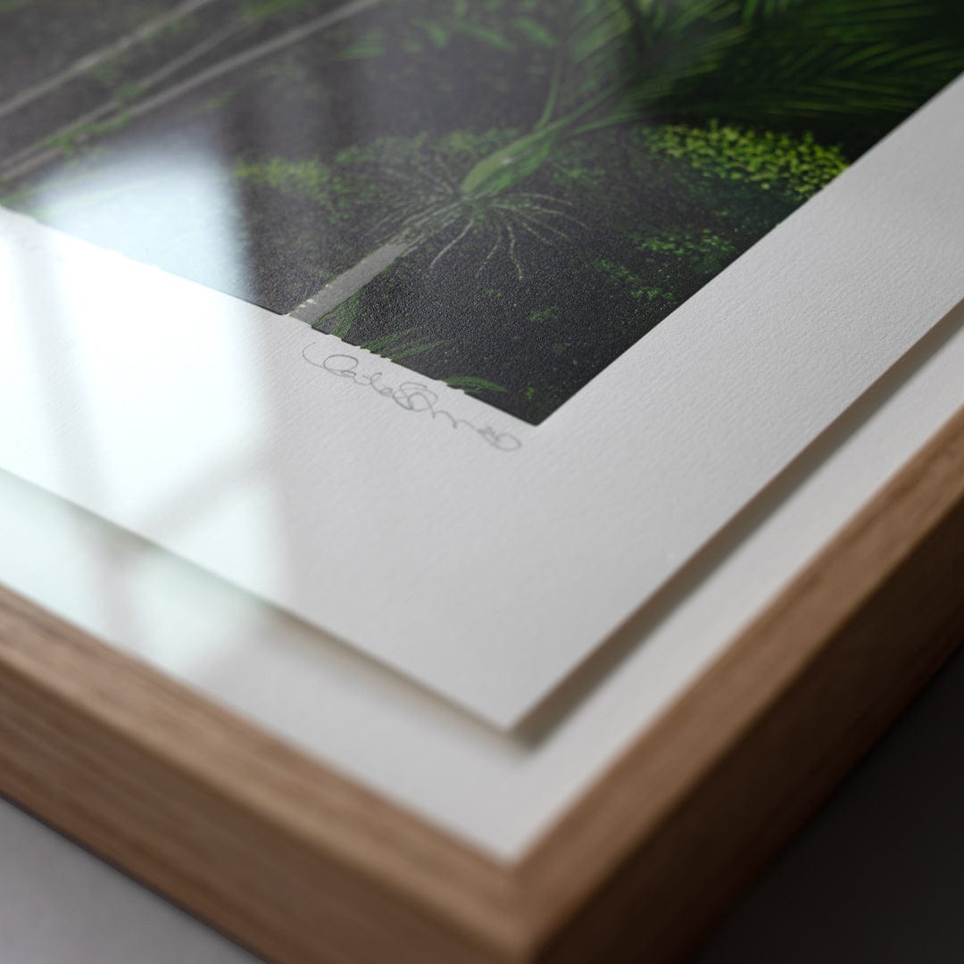 Bespoke Framed Kākāriki II Linocut Reduction Print by Kate Steiner