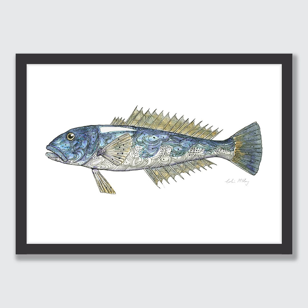 &#39;Billy&#39; Blue Cod Art Print by Colin McKay