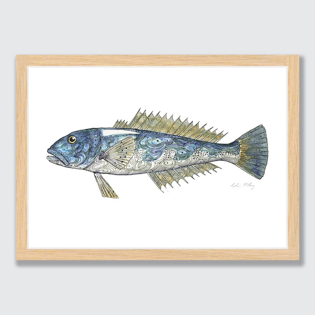 &#39;Billy&#39; Blue Cod Art Print by Colin McKay